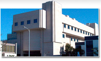 company-building.jpg